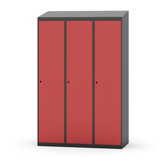 Novis vaatekaappi, vinokatto, 1:3, L120 cm