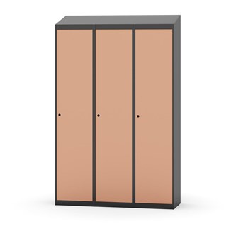 Novis vaatekaappi, vinokatto, 1:3, L120 cm