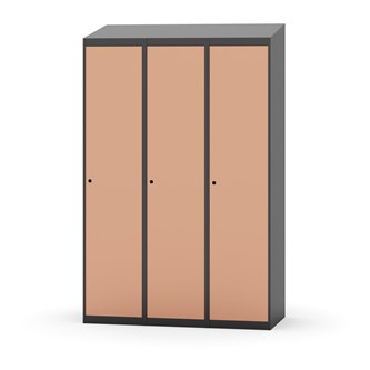 Novis vaatekaappi, vinokatto, 1:3, L120 cm