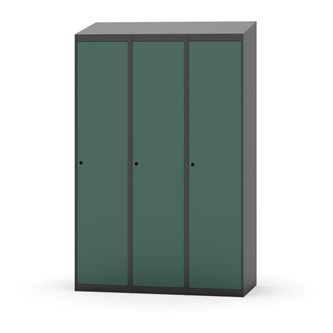 Novis vaatekaappi, vinokatto, 1:3, L120 cm