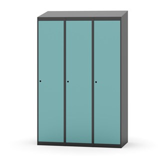 Novis vaatekaappi, vinokatto, 1:3, L120 cm