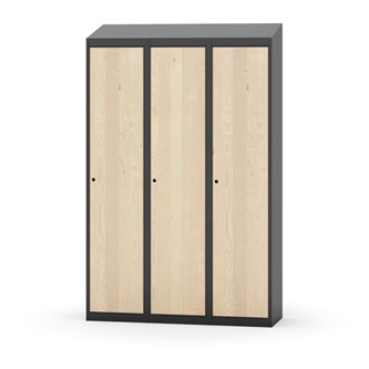 Novis vaatekaappi, vinokatto, 1:3, L120 cm