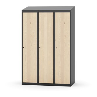 Novis vaatekaappi, vinokatto, 1:3, L120 cm