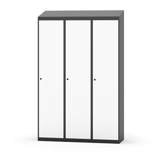 Novis vaatekaappi, vinokatto, 1:3, L120 cm