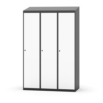 Novis vaatekaappi, vinokatto, 1:3, L120 cm