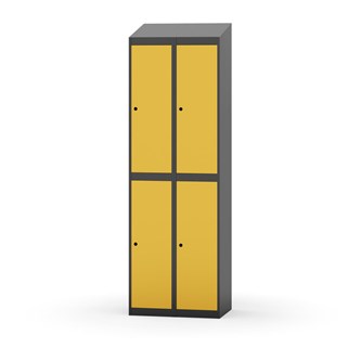 Novis vaatekaappi, vinokatto, 2:2, L60 cm