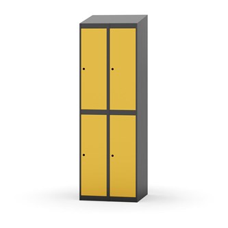 Novis vaatekaappi, vinokatto, 2:2, L60 cm