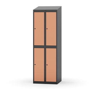 Novis vaatekaappi, vinokatto, 2:2, L60 cm