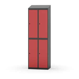 Novis vaatekaappi, vinokatto, 2:2, L60 cm