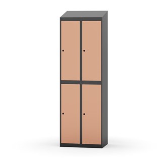 Novis vaatekaappi, vinokatto, 2:2, L60 cm