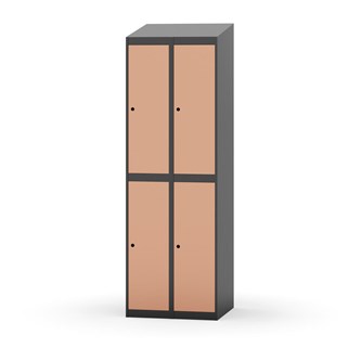 Novis vaatekaappi, vinokatto, 2:2, L60 cm