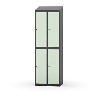 Novis vaatekaappi, vinokatto, 2:2, L60 cm