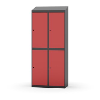 Novis vaatekaappi, vinokatto, 2:2, L80 cm