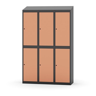 Novis vaatekaappi, vinokatto, 2:3, L120 cm