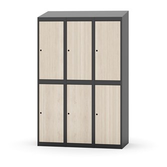 Novis vaatekaappi, vinokatto, 2:3, L120 cm