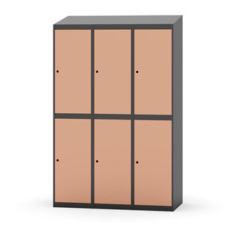 Novis vaatekaappi, vinokatto, 2:3, L120 cm