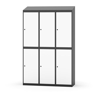 Novis vaatekaappi, vinokatto, 2:3, L120 cm