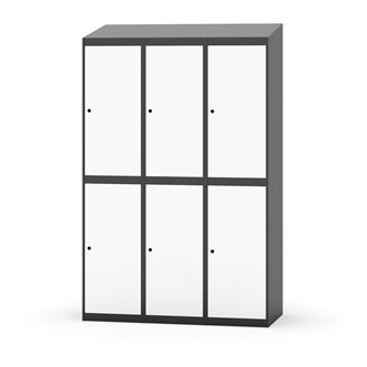 Novis vaatekaappi, vinokatto, 2:3, L120 cm