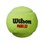 Padelpallot Wilson, 3 kpl