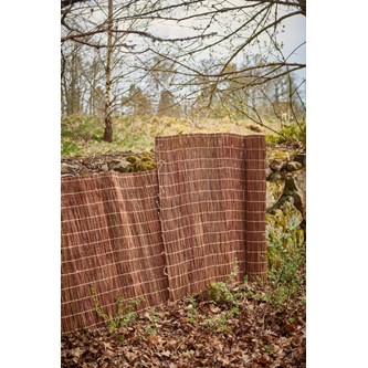 Willow tuulensuoja pajusta 120x300 cm