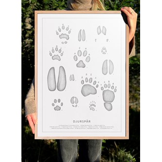 Kunskapstavlan® Djurspår -juliste, 50 x 70 cm