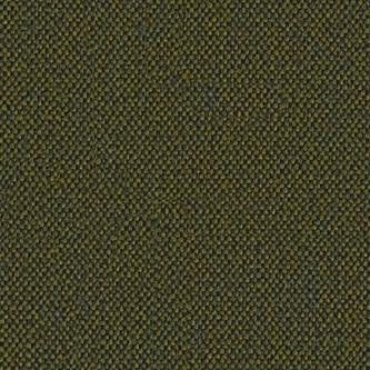 Main Line Flax verhoilukangas
