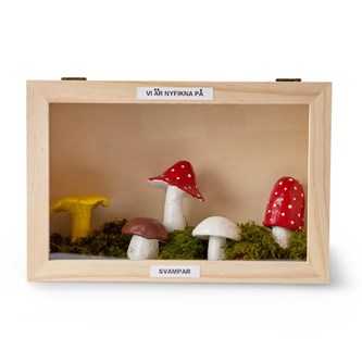 Katselukaappi 20x20 cm, puuta