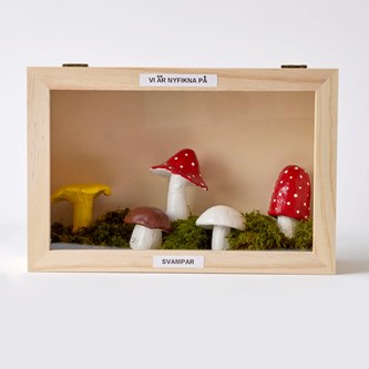 Katselukaappi 20x20 cm, puuta