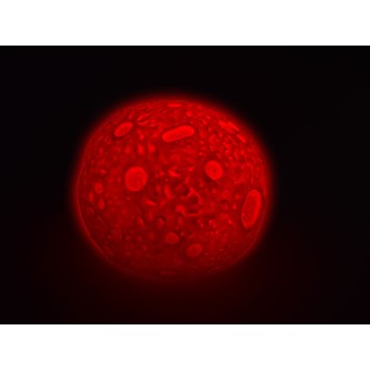 Sensorinen kuulamppu