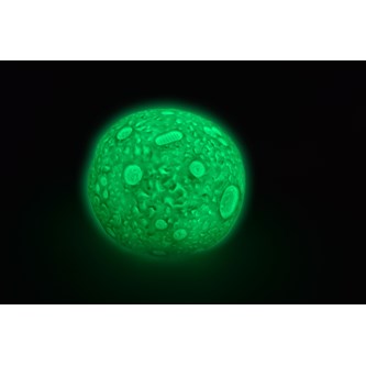 Sensorinen kuulamppu