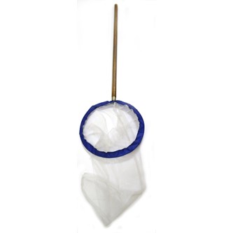 Hyönteishaavi puuvarrella