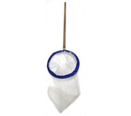 Hyönteishaavi puuvarrella