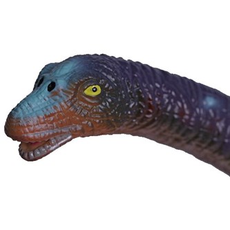 Brachiosaurus, suuri