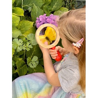 Sensoriset perhoset, kiveä