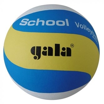 Lentopallo Gala School