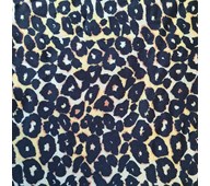 Jerseykangas leopardi, lev. 150 cm