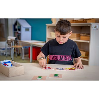 EDUCO Sekvenssikortit, 5 vaihetta