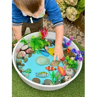 Sensoriset kalat, kiveä, 8 kpl