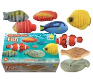 Sensoriset kalat, kiveä, 8 kpl