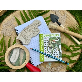 Kaiva ja löydä - Ankylosaurus & Tyrannosaurus rex