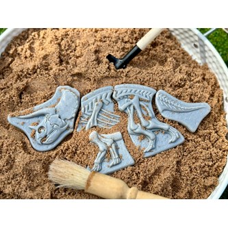 Kaiva ja löydä - Triceratops & Stegosaurus