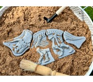 Kaiva ja löydä - Triceratops & Stegosaurus