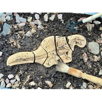 Kaiva ja löydä - Triceratops & Stegosaurus