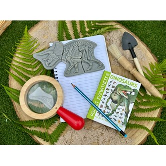 Kaiva ja löydä - Triceratops & Stegosaurus