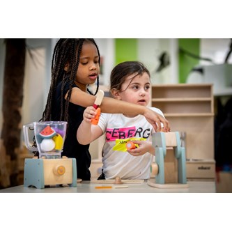 EDUCO Yleiskone, puuta