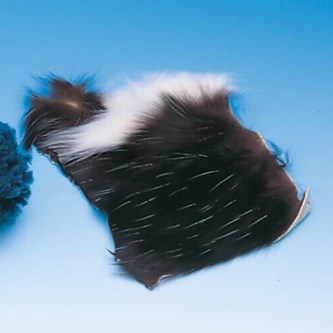 Turkista hankaussähkökokeisiin