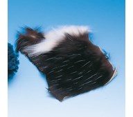 Turkista hankaussähkökokeisiin