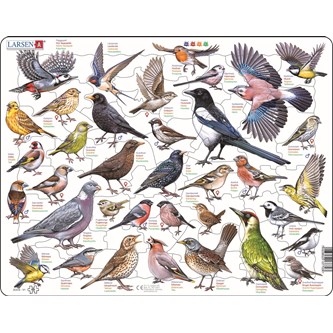 Kehyspalapeli linnut puutarhassa, 69 palaa