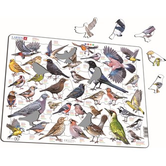 Kehyspalapeli linnut puutarhassa, 69 palaa