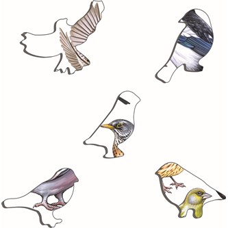 Kehyspalapeli linnut puutarhassa, 69 palaa